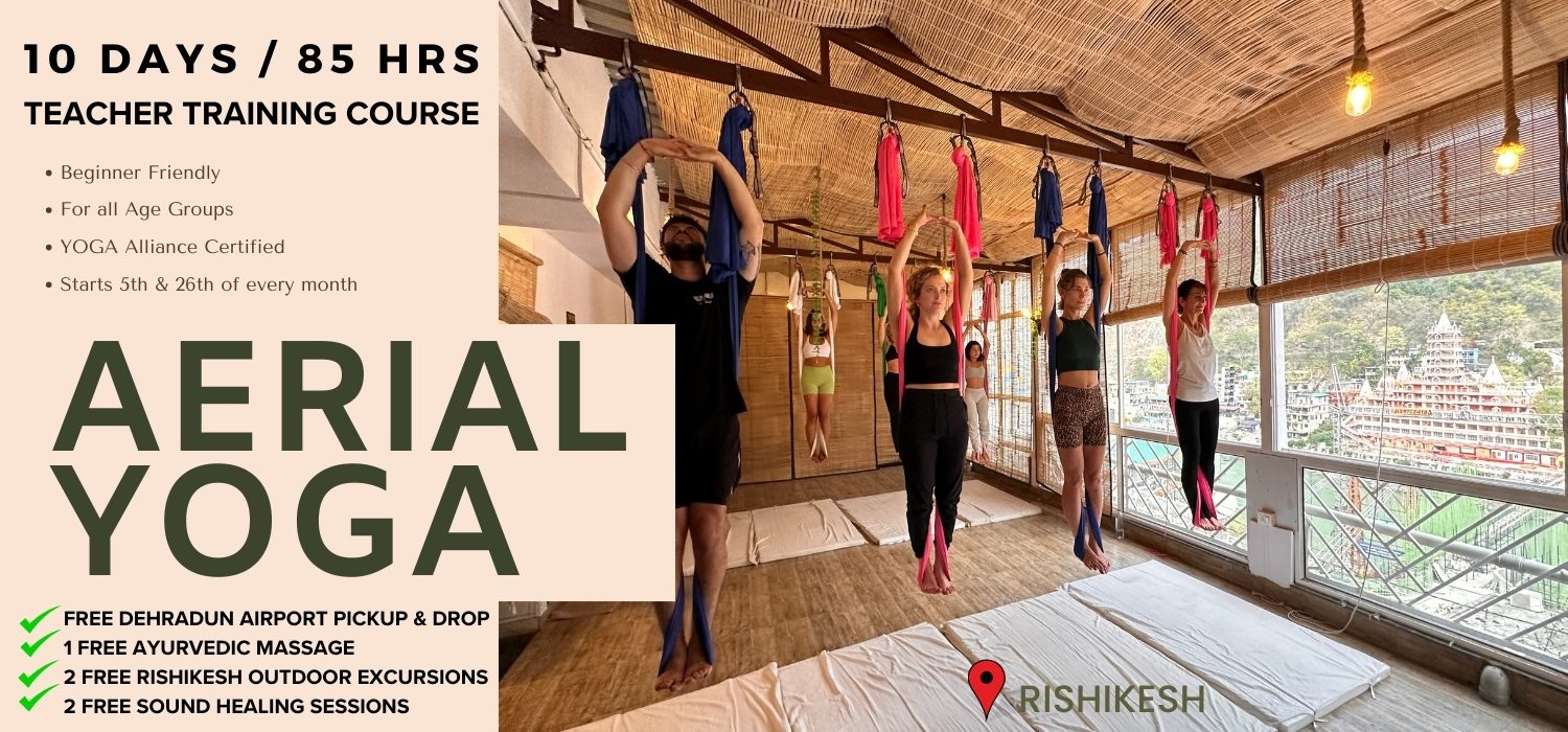 Aerial Yoga Teacher Training Rishikesh - Palm Tree Pose